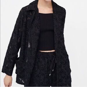 Zara Devore Jacquard Sheer Blazer